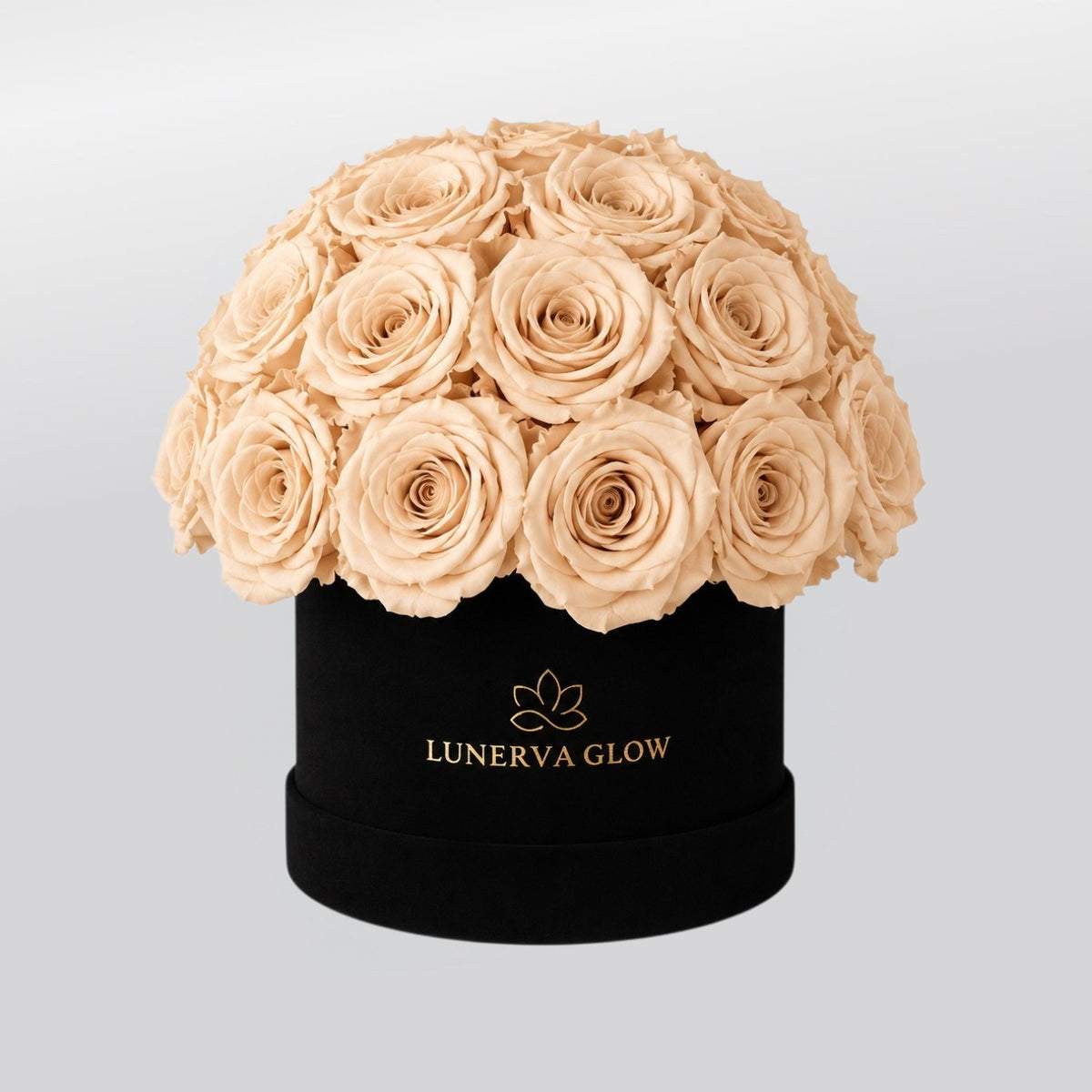 Black Velvet Mushroom | Gold