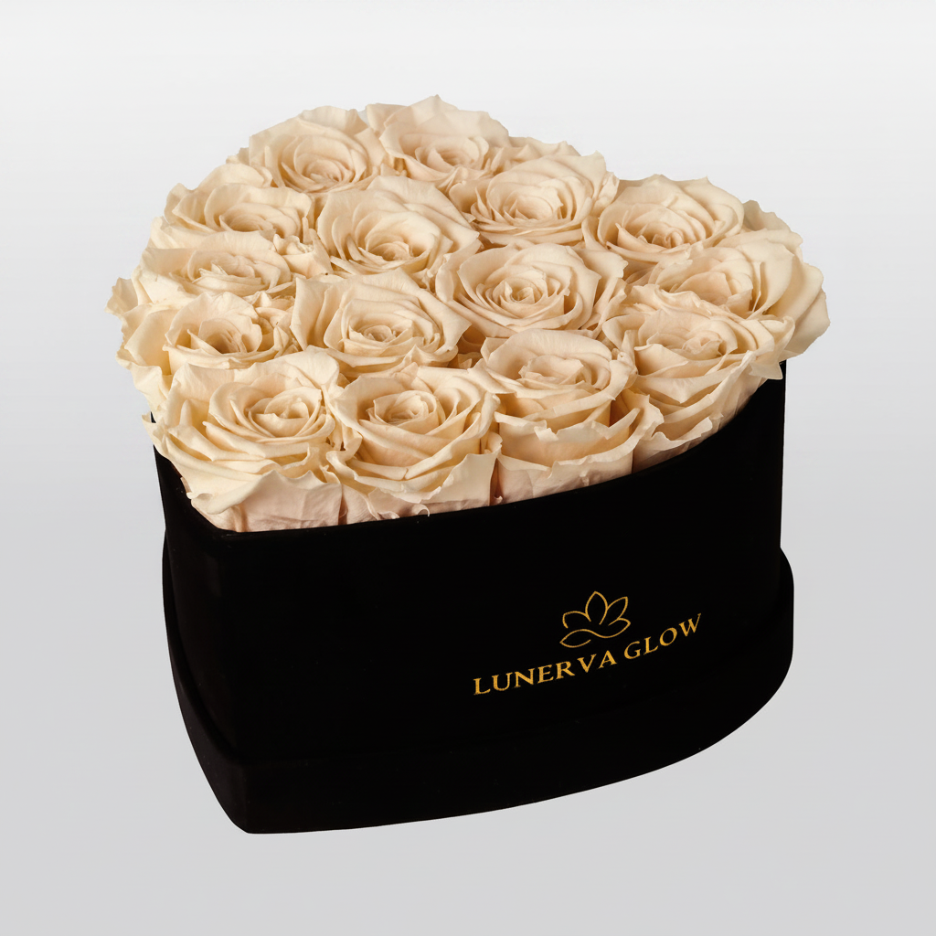 Black Velvet Heartbox |Peach|M
