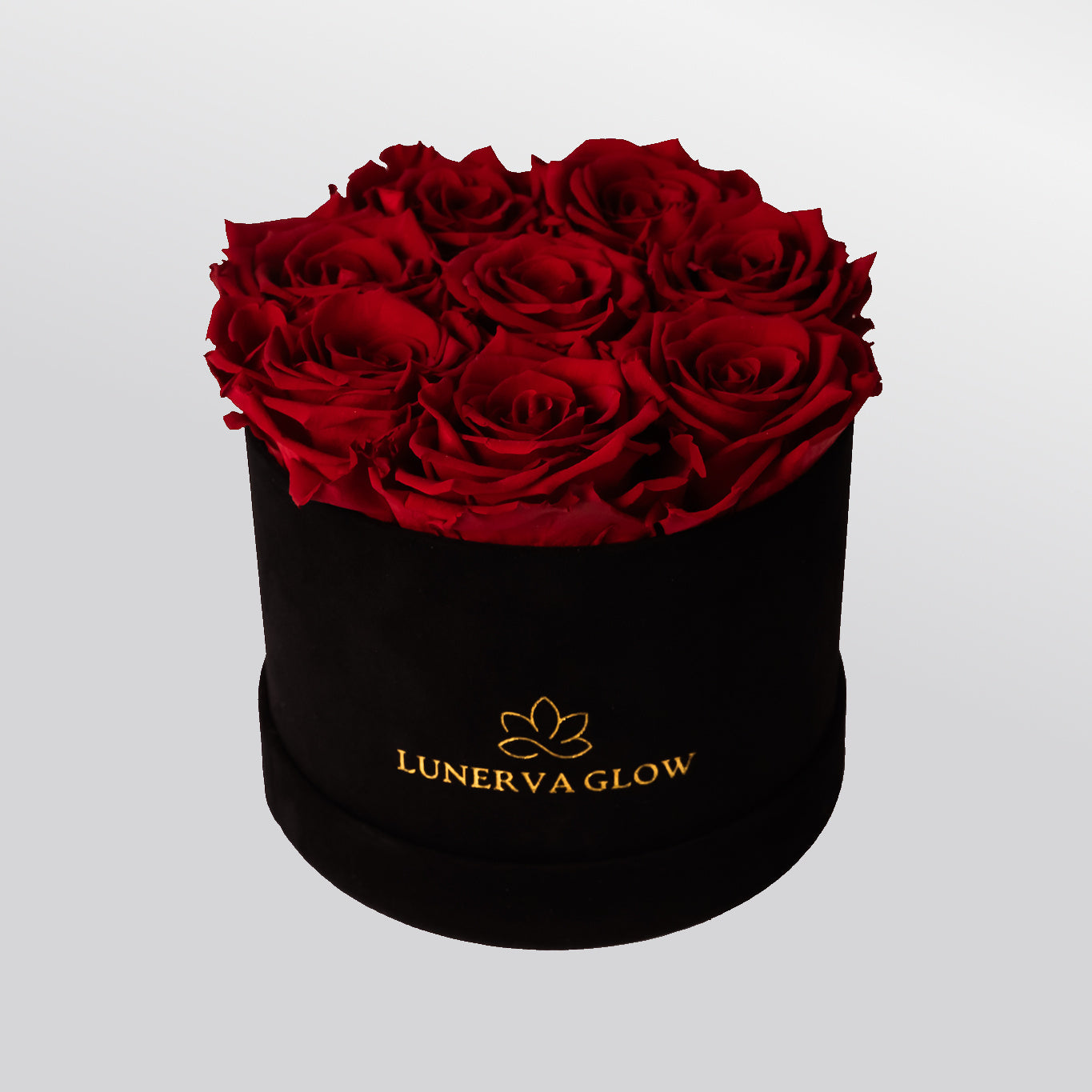 Black Velvet Flowerbox |Peach|S