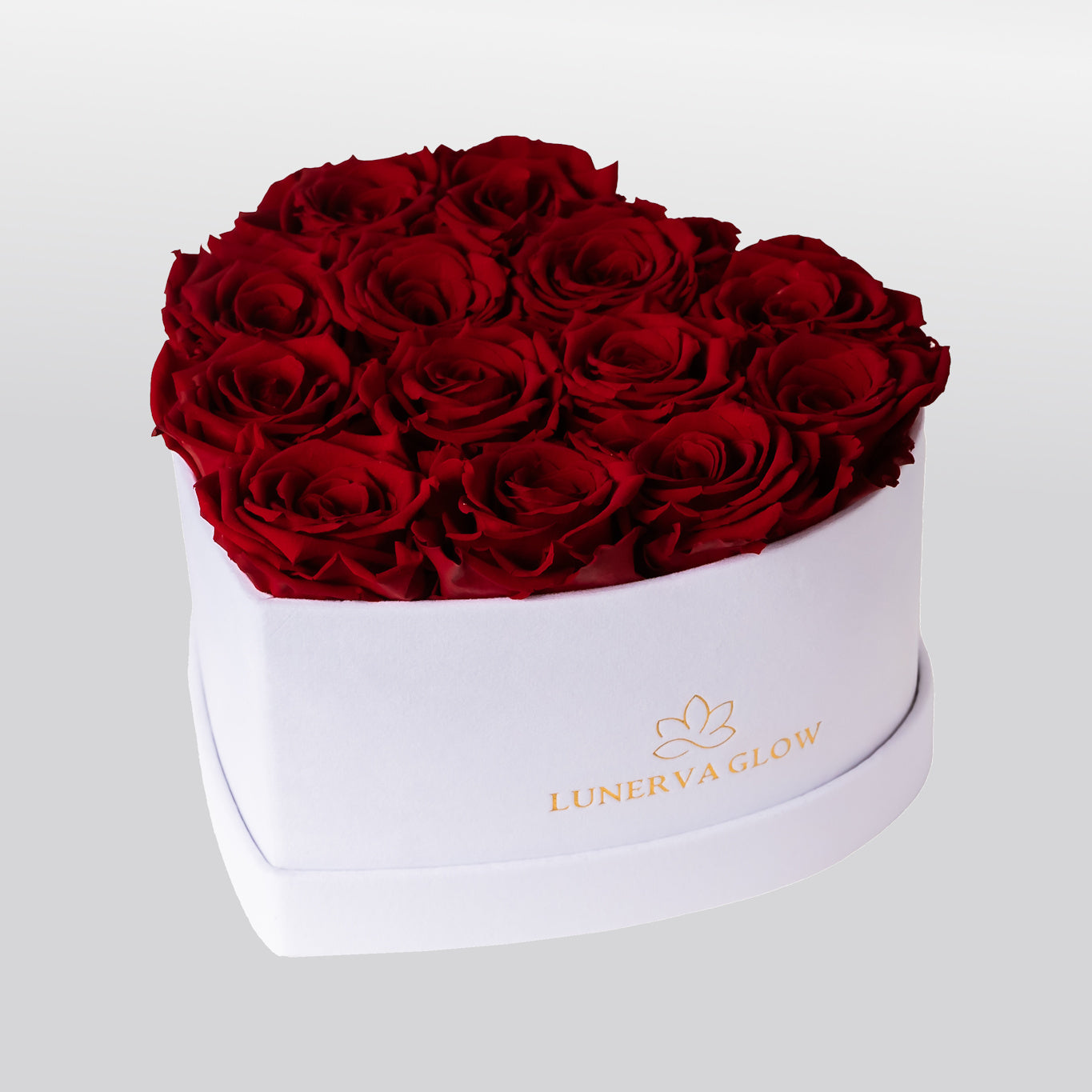 White Velvet Heartbox |Gold