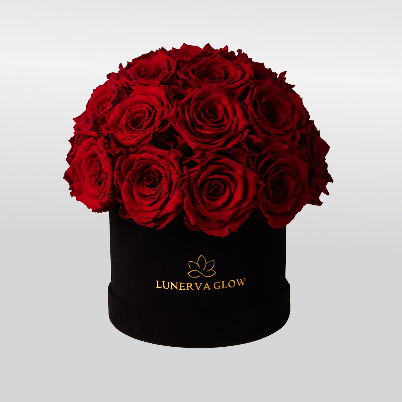 Black Velvet Mushroom |Bridal Pink|S