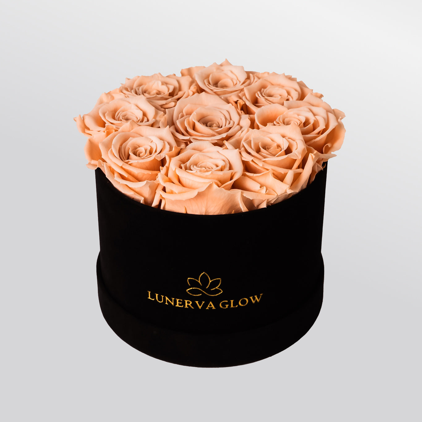 Infinity Blumenbox rund aus Samt | LUNERVA GLOW 