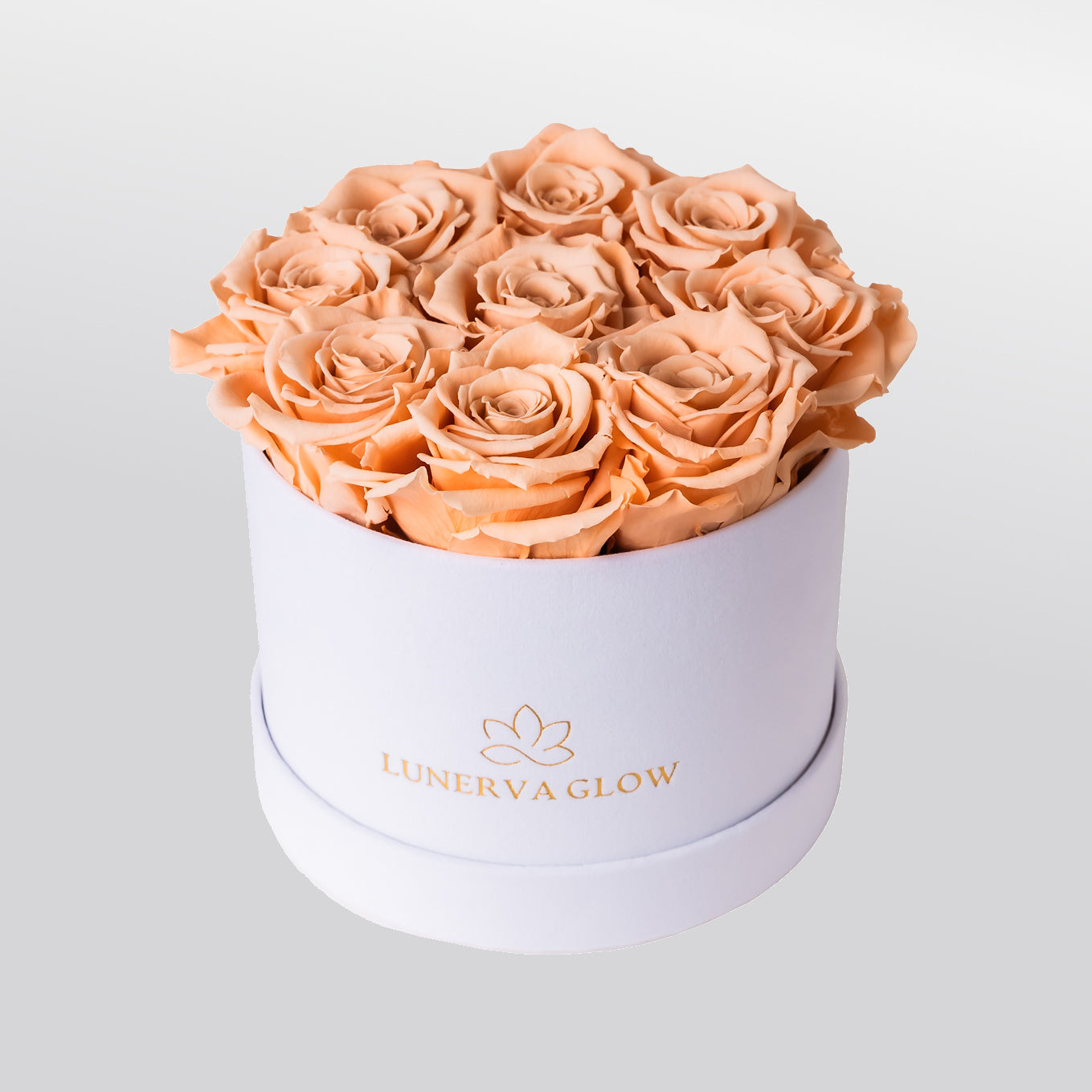 White Velvet Flowerbox |Peach|S