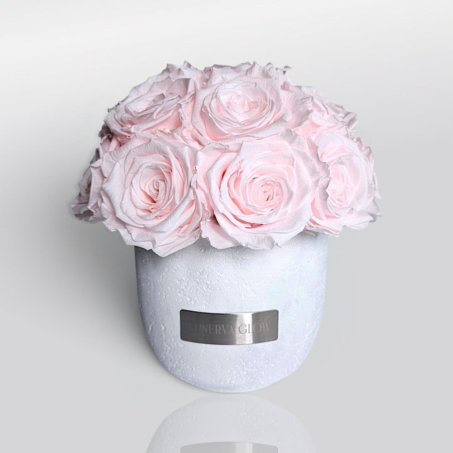 Minimalistische betonvase in Weiß mit Bridalpink konservierten Rosen.  Dekoration oder als Geschenk | Lunerva Glow 