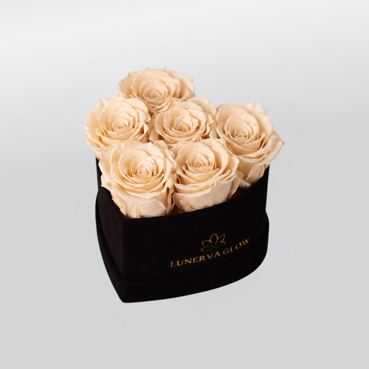 Black Velvet Heartbox |S
