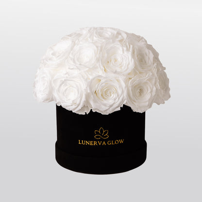 Black Velvet Mushroom | Gold