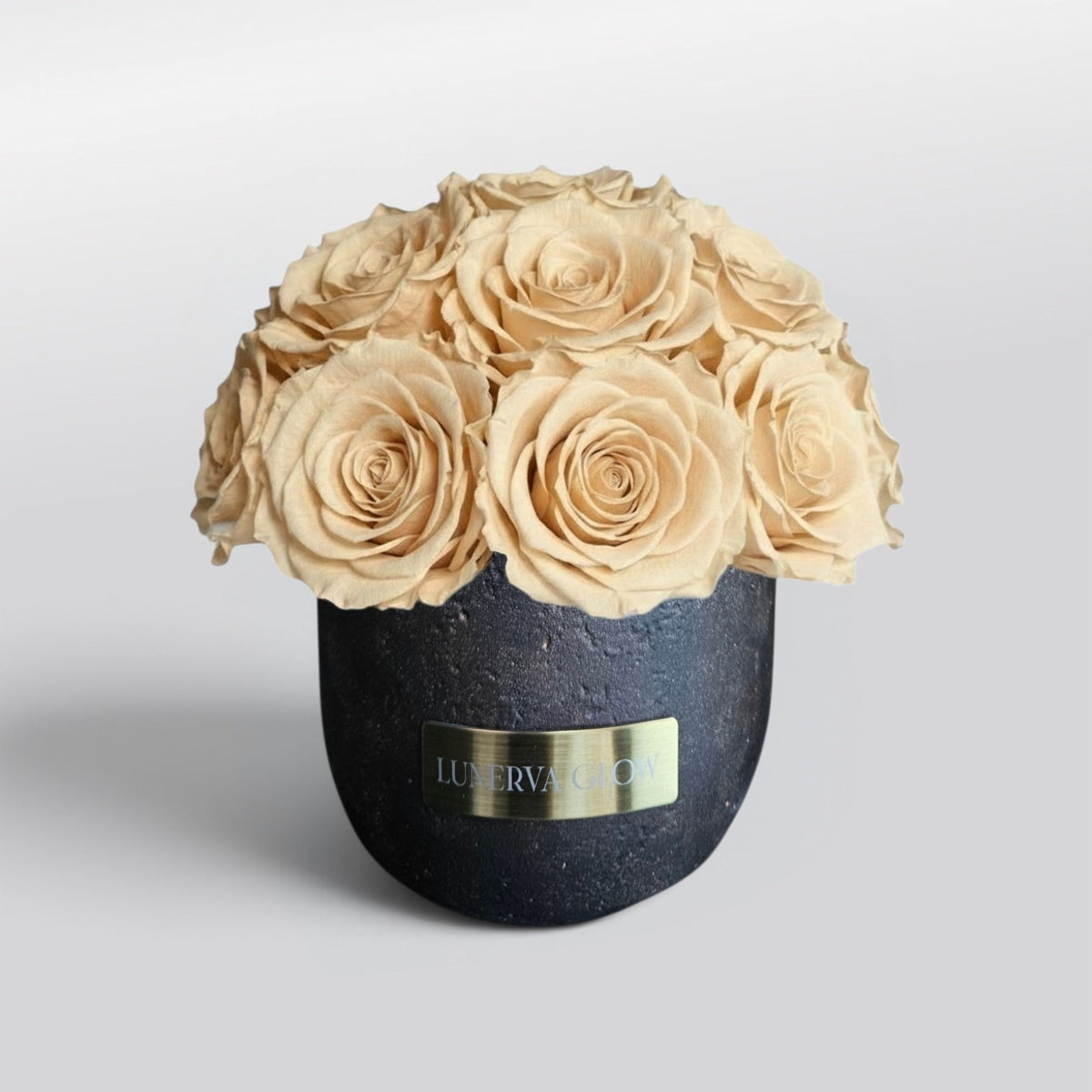 Black Solid Vase S |Nude