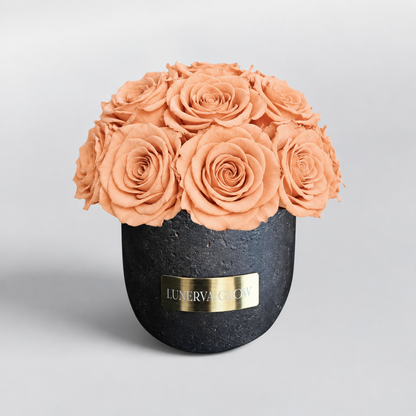 Black Solid Vase S |Nude