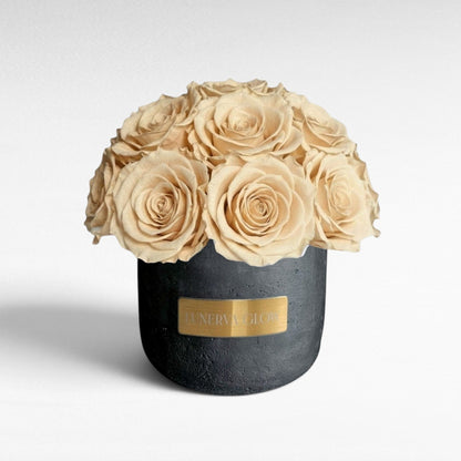 Black Solid Beton Vase XS|Royal Red