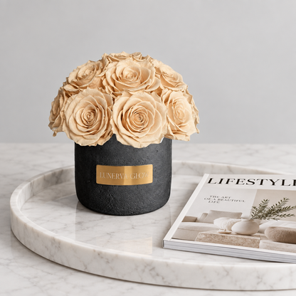 Black Solid Beton Vase XS|Nude