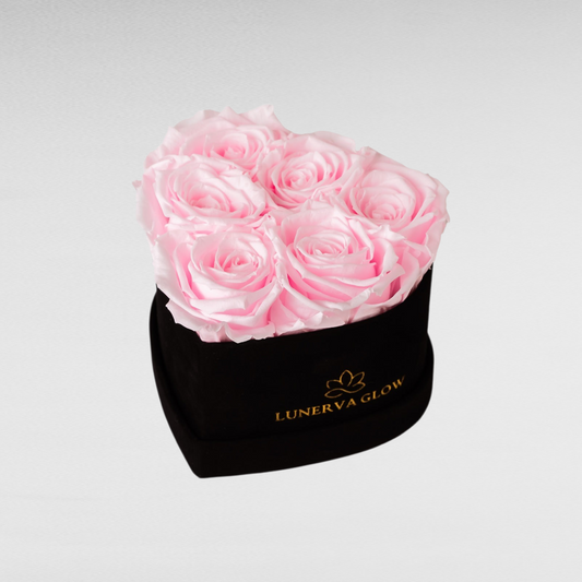 Black Heartbox |Bridal Pink|S