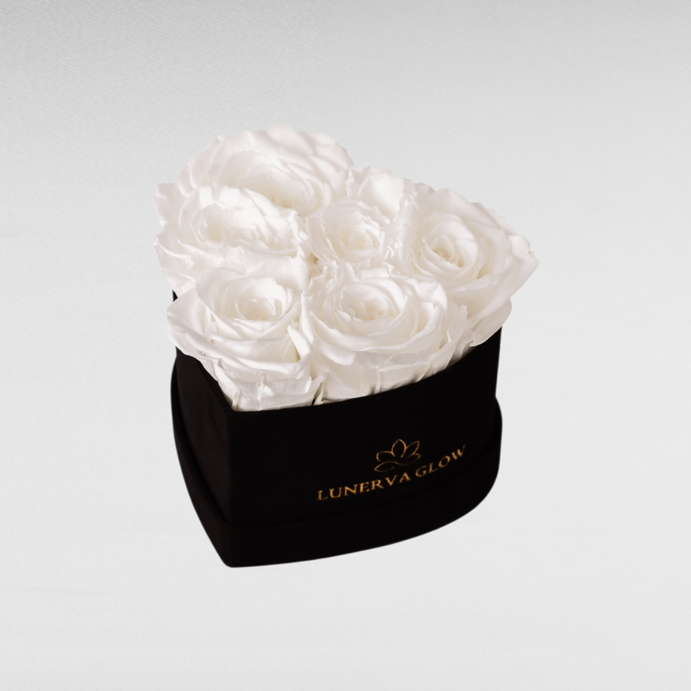 Black Velvet Heartbox |Bridal Pink|S