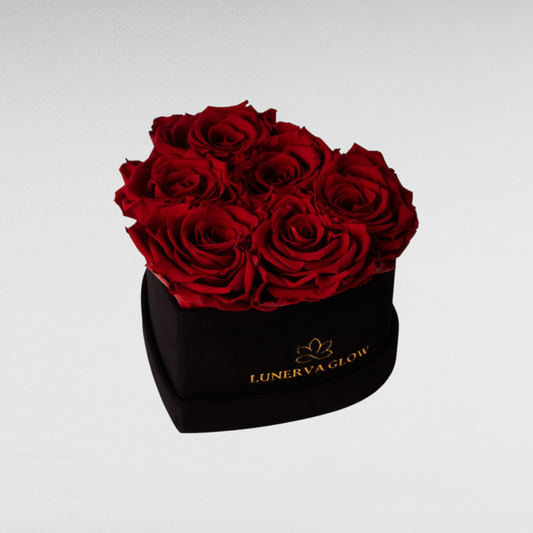 Black Velvet Heartbox |Red|S