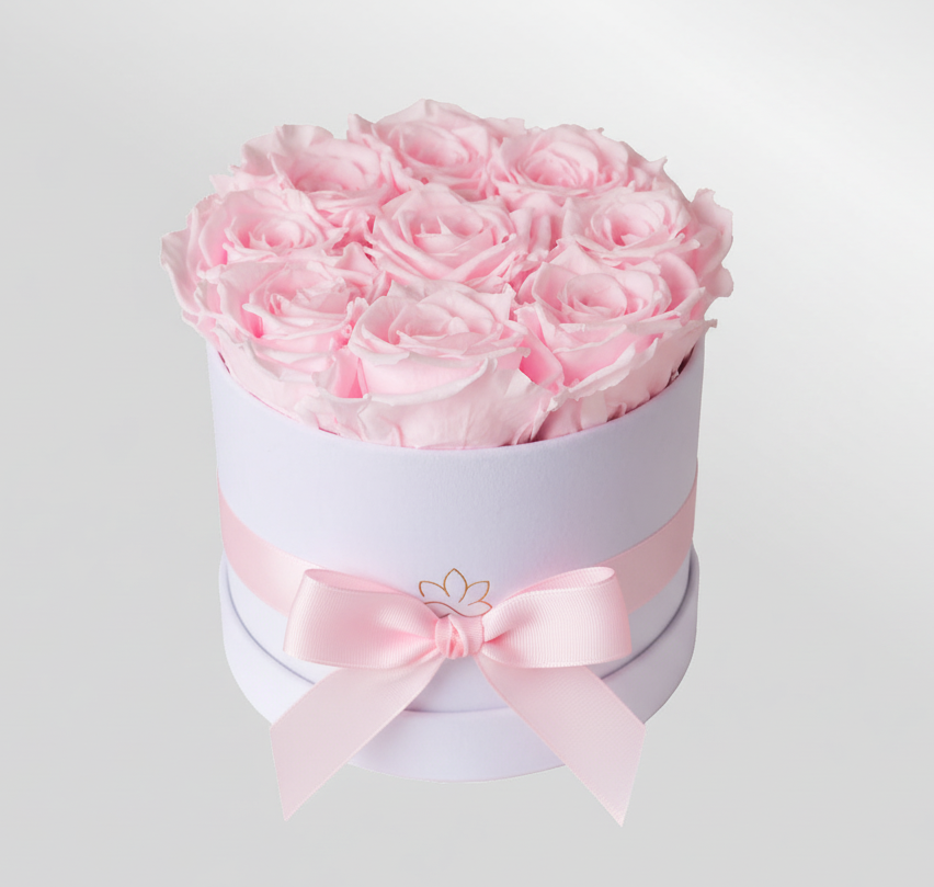 White Velvet  Flowerbox |White|S