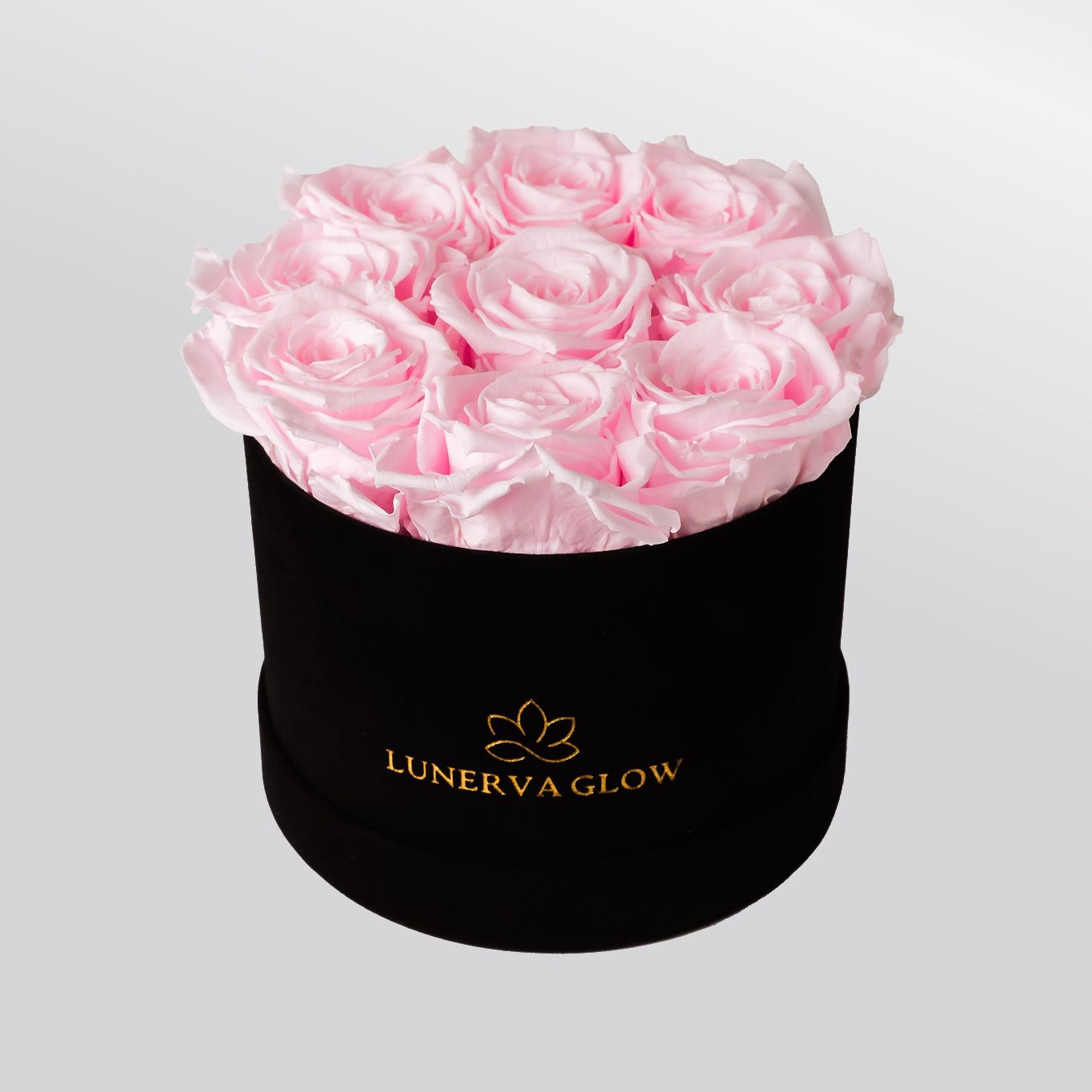Black Velvet Flowerbox |Peach|S