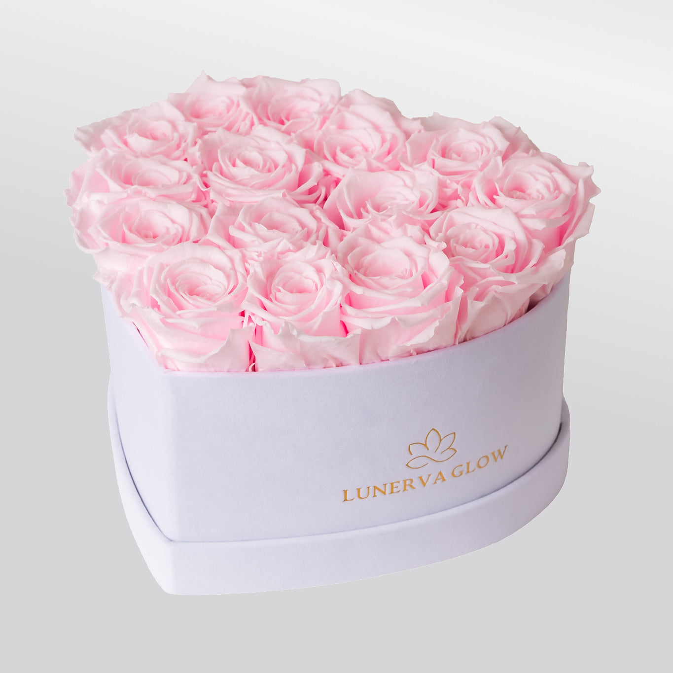 White Velvet Heartbox |Red|M