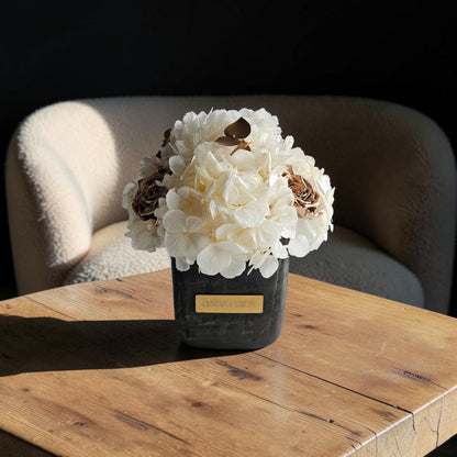 Square Hydrangea Mix S|Champagner