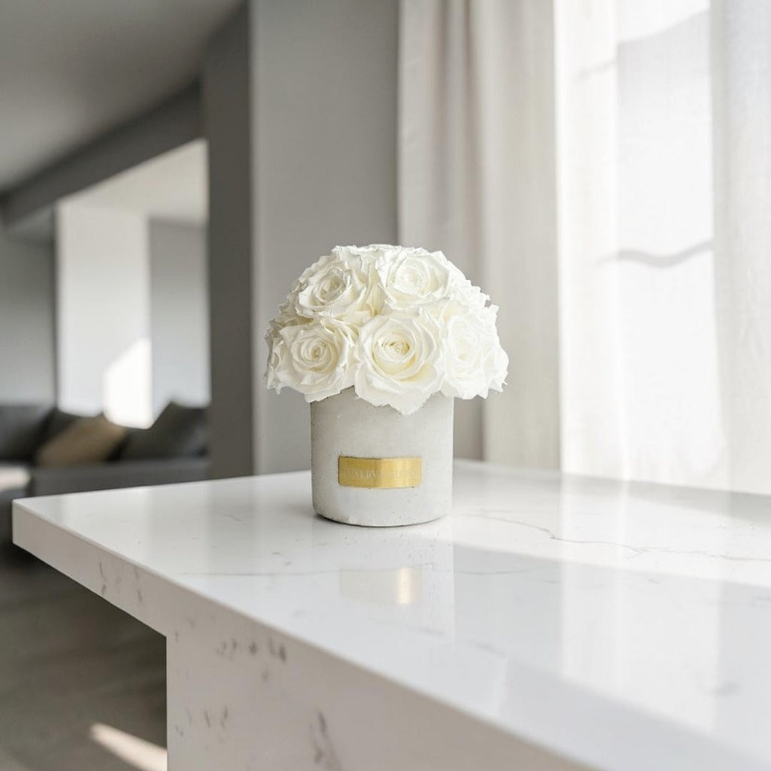 Gray Solid Beton Vase XS| White