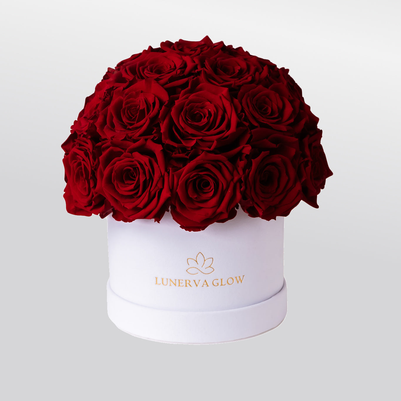 White Velvet Mushroom |White|S