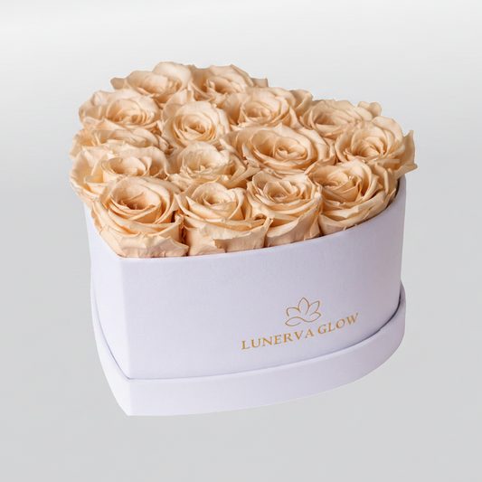 White Velvet Heartbox |Nude|M