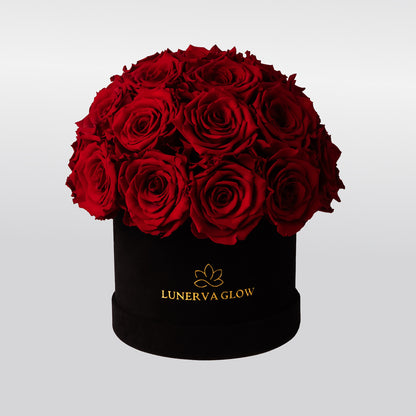 Echte konservierten Rote Rosen zum Valentinstag | Lunerva Glow 