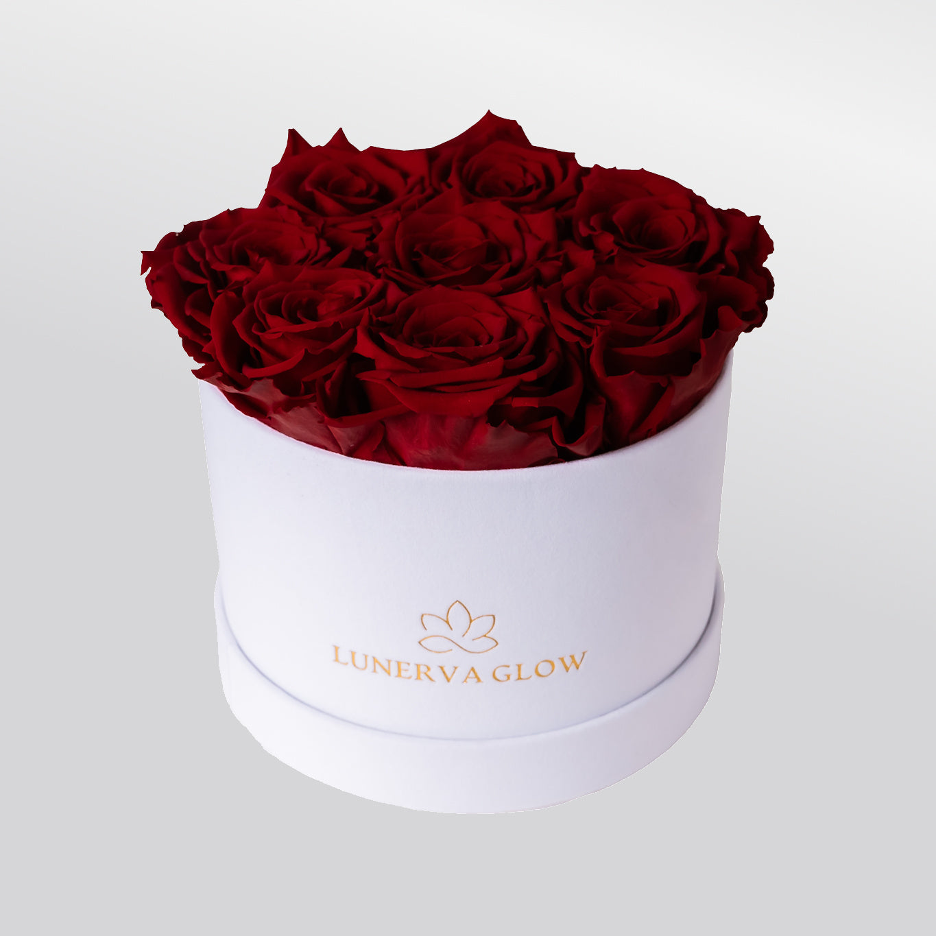 White Velvet  Flowerbox |White|S