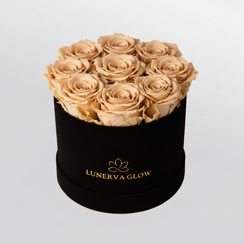 Black Velvet Flowerbox |Red