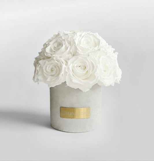 Gray Solid Beton Vase XS| White