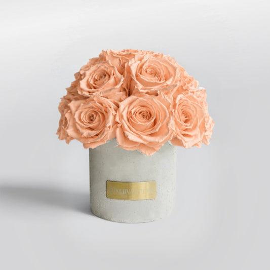 Gray Solid Beton Vase XS|Peach