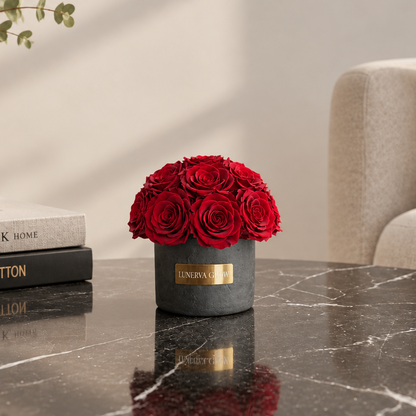 Black Solid Beton Vase XS|Royal Red