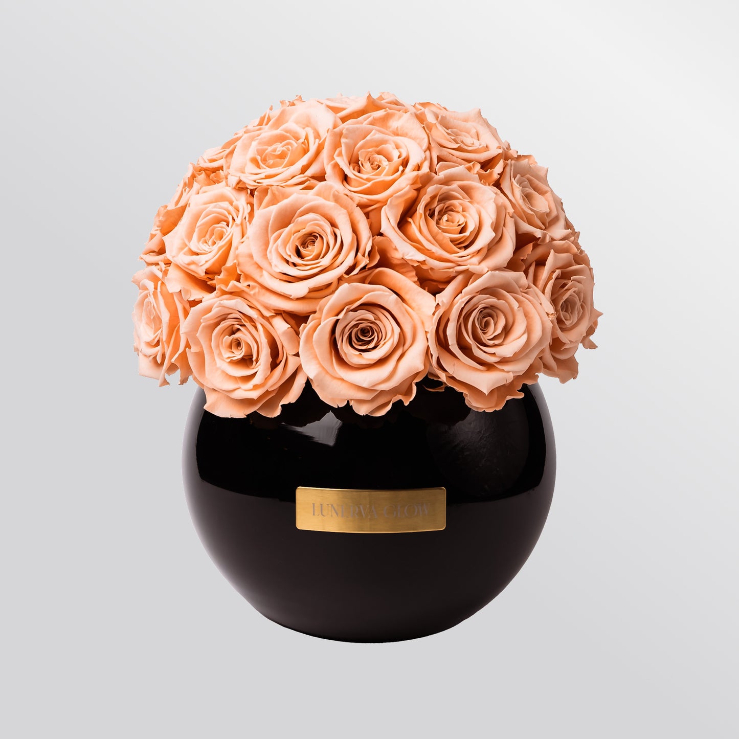 Black Glass Vase |Red|M