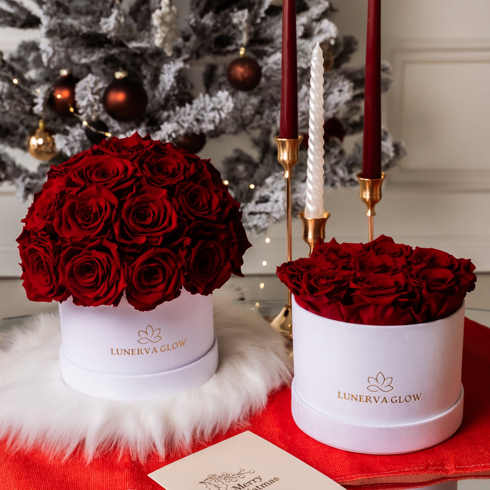 Weihnachts Decoration für deine Liebsten. Ewige Rosenbox mit konservierten echten Royal Red, die Jahre Halten.