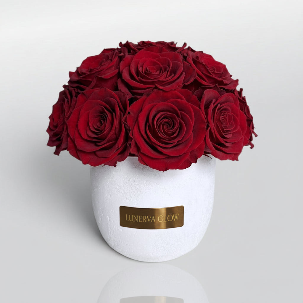Rote Infinity Rosen in einer weissen Betonvase arrangiert.  Elegante minimalistische Dekoration | Lunerva Glow 