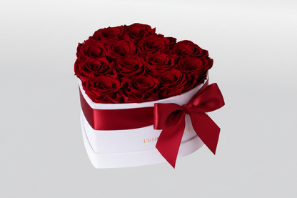 White Velvet Heartbox |Red|M