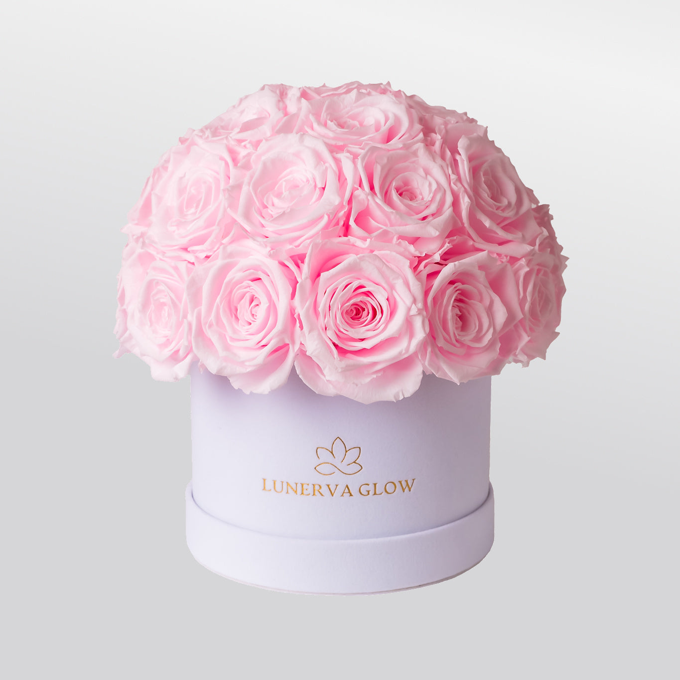Bridalpink Infinity Flowerbox aus elegantem Samt in Kuppelform ales langlebige Geschenk-LUNERVA GLOW 