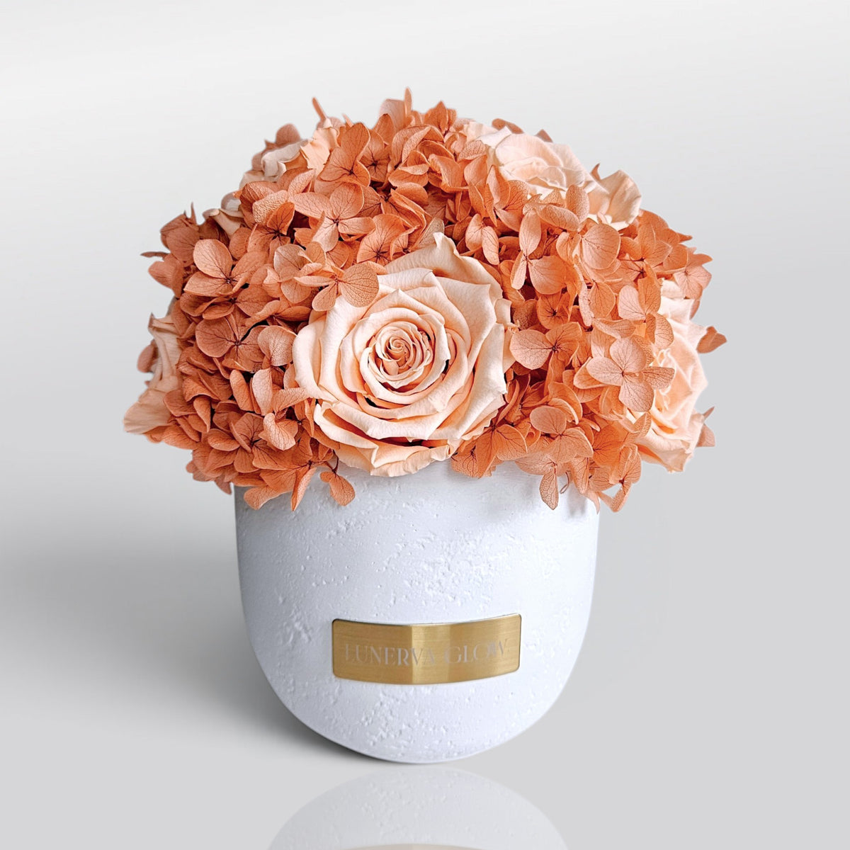 Solid Vase Hydrangea Mix |Nude
