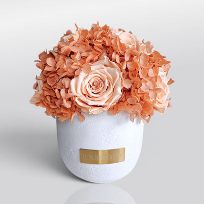 Solid Vase Hydrangea Mix |Nude