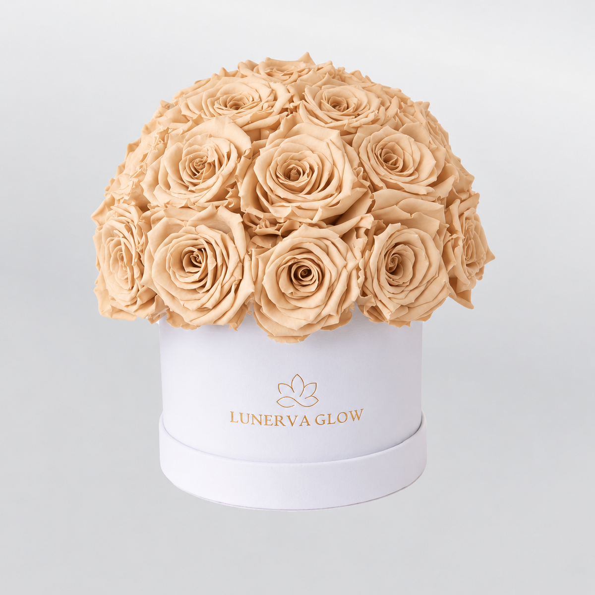 White Velvet Mushroom |Nude