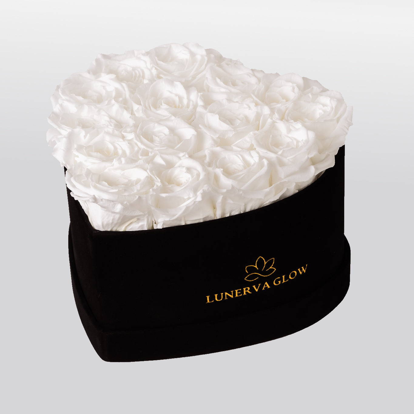 Black Velvet Heartbox |Peach|M