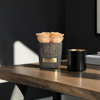 Square Vase XS | Peach