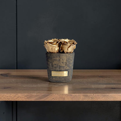 Square Vase XS| Gold