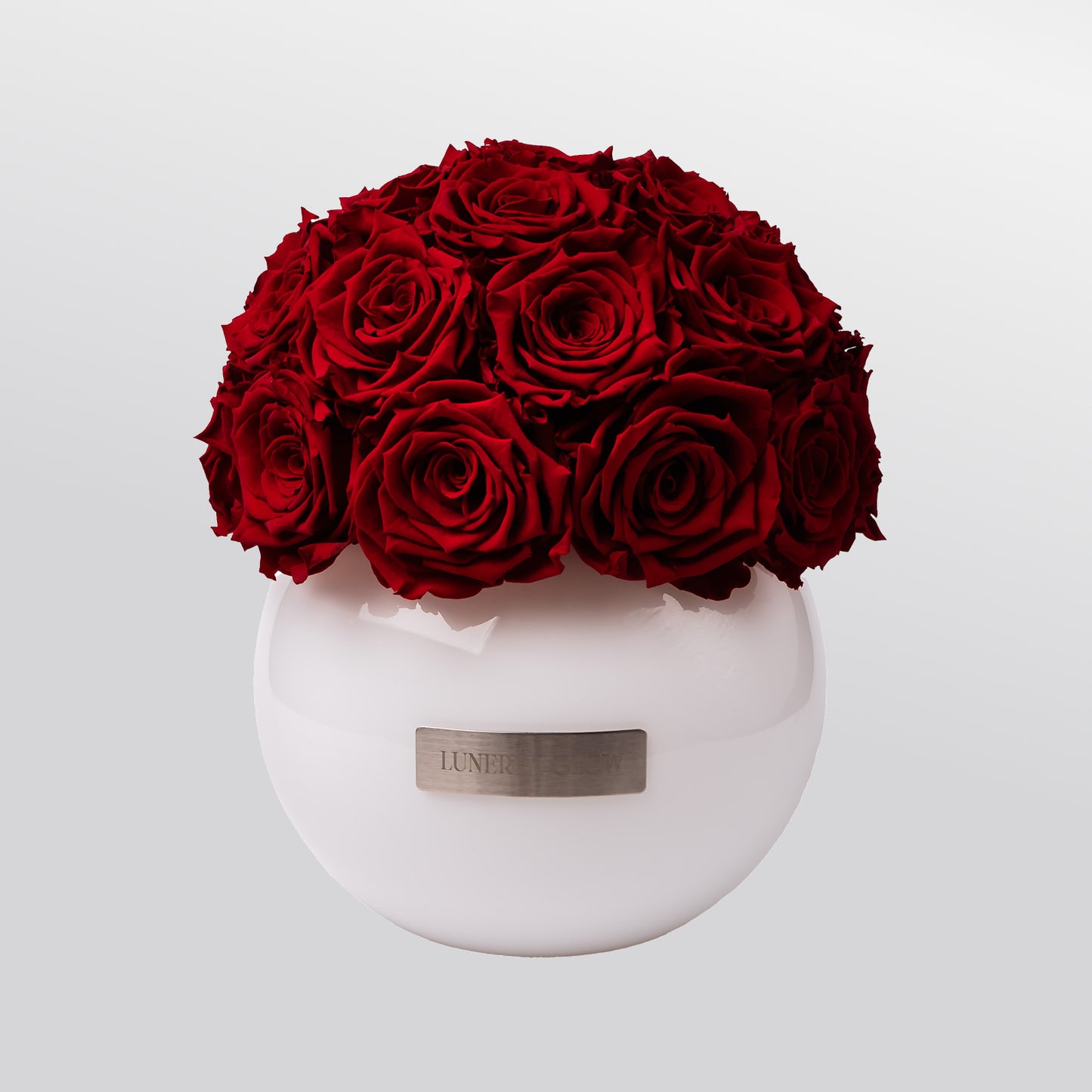 White Glass Vase |Bridalpink|M