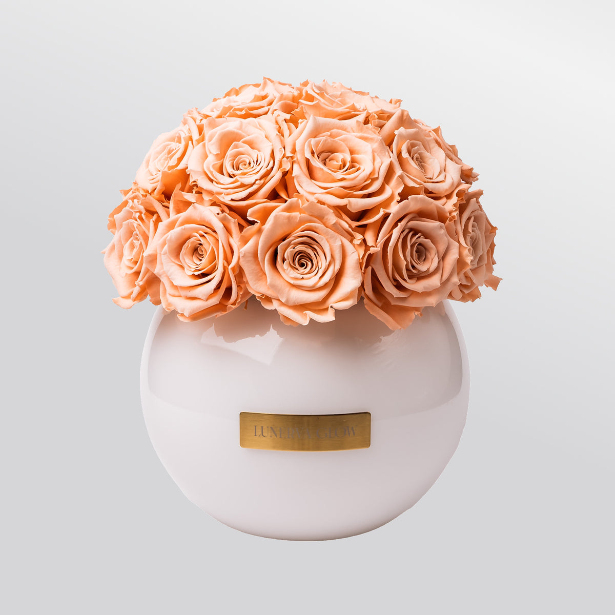 Infinity Peach Rosen in weißer runden Glass Vase | Lunerva Glow