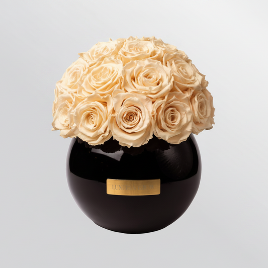 Black Glass Vase |Nude|M