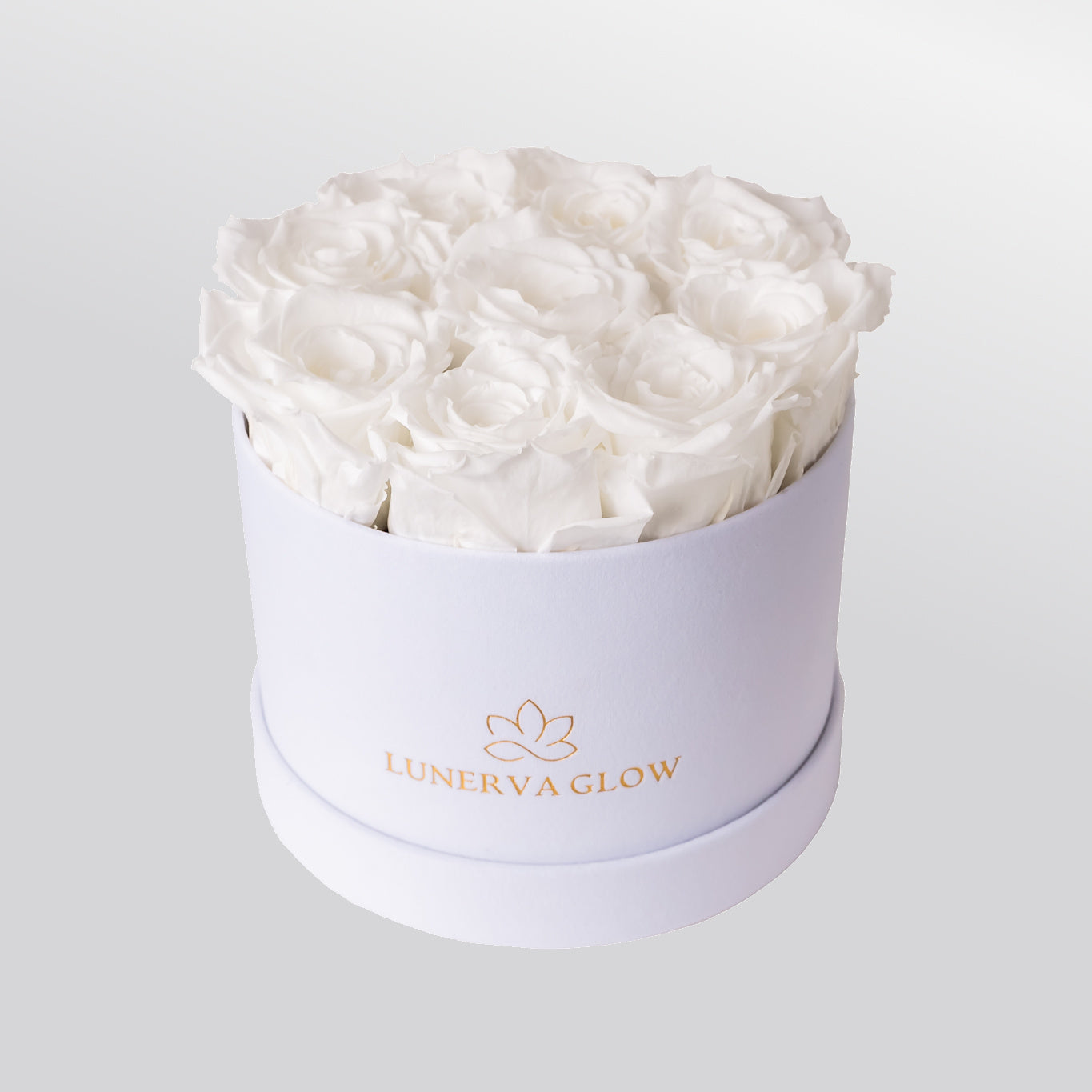 White Velvet Flowerbox |Bridalpink|S